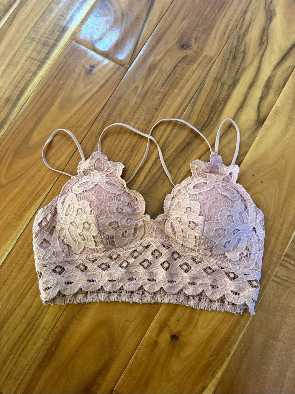 Wishlist Lace Bralette in Blush